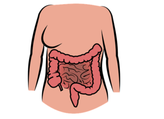 Helicobacter pylori