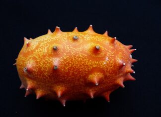 Czy ogórek to warzywo pestkowe?