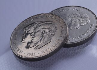 Na jakie imiona reagują koty?