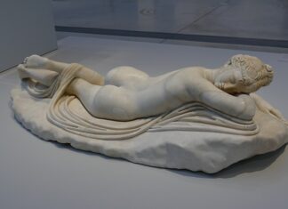 Jak długo żyją koty?