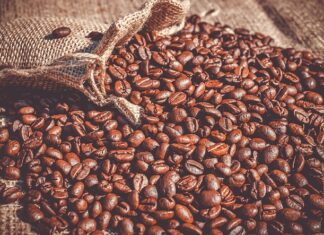 Co posadzić po fasoli?